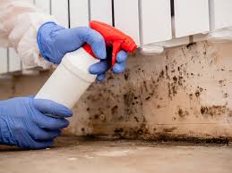 Best Indoor Air Quality Assessment  in Mount Carmel, TN